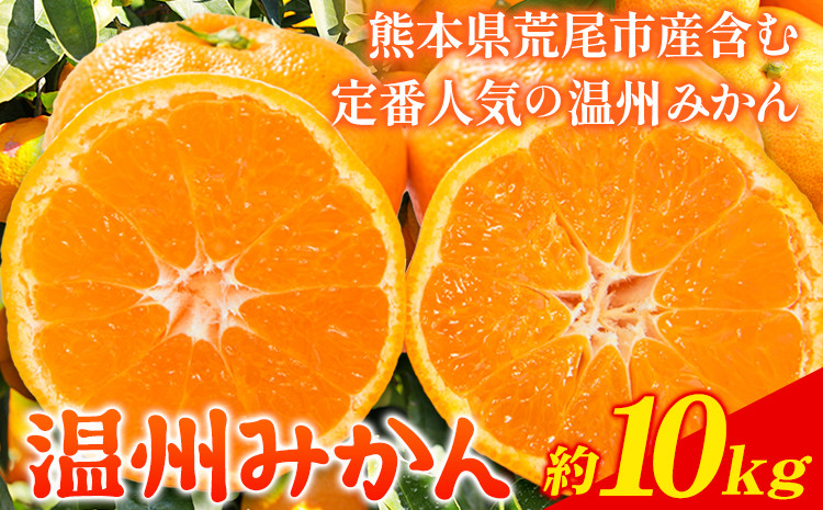 
            みかん 温州みかん 約 10kg 熊本県 荒尾市産含む 《11月上旬-12月上旬頃出荷》送料無料 熊本県 荒尾市 フレッシュフーズ 柑橘 フルーツ ミカン 蜜柑 果物
          
