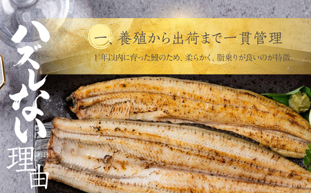 ハズレない 国産 うなぎ 白焼き 2尾 100g 中サイズ 計200g 国産うなぎ 鰻 厳選 ウナギ かば焼き 丑の日 高級 贅沢 ご褒美 特産品 ふっくら お取り寄せ うな重 うな丼 ひつまぶし 冷