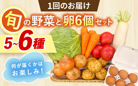 【全12回定期便】採れたてお野菜おまかせ（5～6種）・卵6個セット/ 野菜 やさい 野菜セット 野菜詰め合わせ 詰め合わせ セット たまご 卵 タマゴ 紅たまご こだまさんち / 大村市 / かとりス