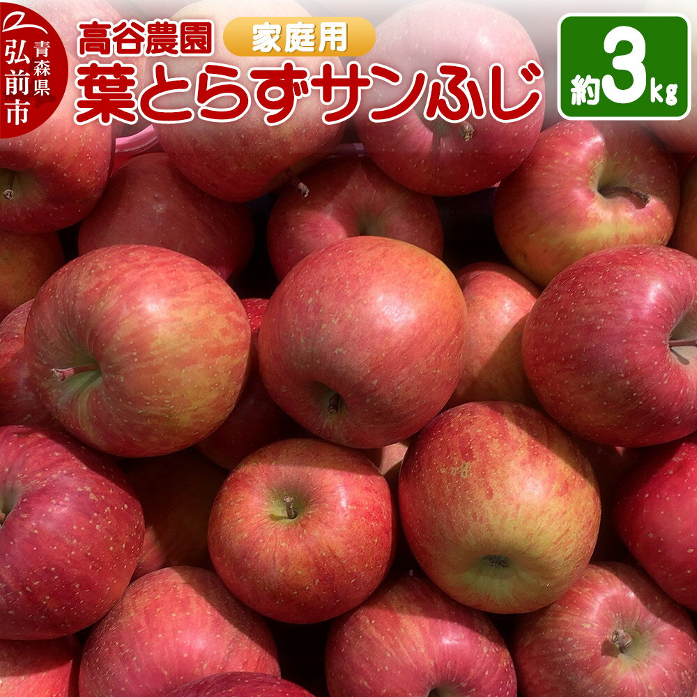 【ふるさと納税】【レビューキャンペーン】【25年11月〜発送】りんご 高谷農園【家庭用】葉とらずサンふじ 約3kg