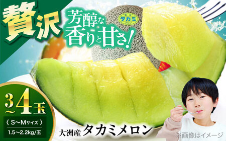 【先行予約】【6月中旬から順次発送】 タカミ メロン S〜Mサイズ 3〜4玉入り（1.5kg〜2.2kg/玉）メロン メロン メロン [AGDG002] メロン メロン
