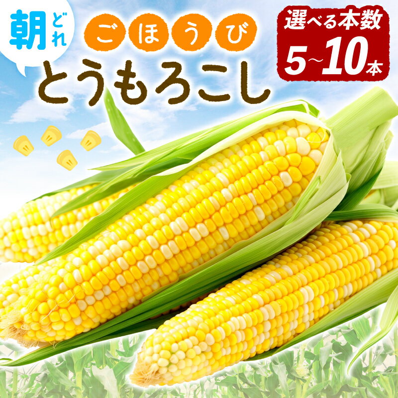 【ふるさと納税】 予約受付 とうもろこし 選べる 容量 5本 10本 トウモロコシ 先行予約 朝どれ 新鮮 野菜 産地直送 国産 とれたて ごほうびとうもろこし 冷蔵 送料無料 株式会社風の子ファーム 埼玉県 羽生市