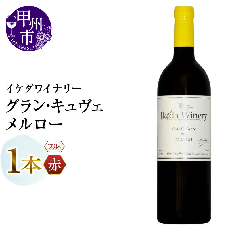 【ふるさと納税】 ワイン 赤ワイン 750ml 1本 グラン・キュヴェ メルロー フルボディ 赤 イケダワイナリー 本格 酒 お酒 山梨 母の日 父の日 記念日 ギフト 山梨県 甲州市 （MG） 【B12-806】