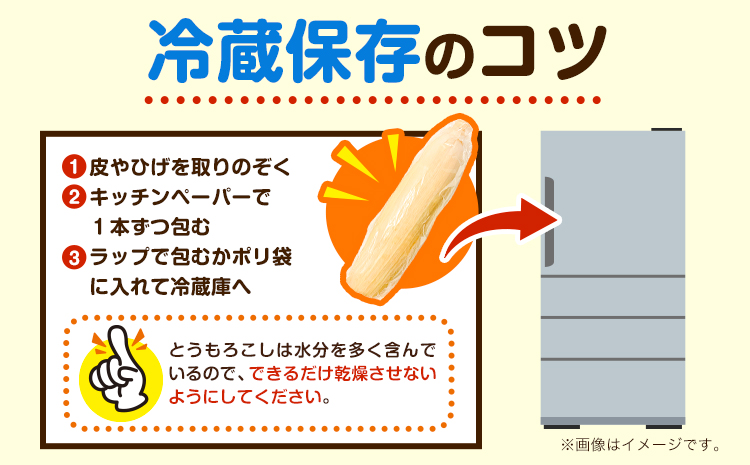 朝採りとうもろこし 河合農園のスイートコーン 12本 特大サイズ(1本380g以上) 河合農園《8月上旬-9月中旬頃出荷》 送料無料 とうもろこし 北海道 本別町 北海道 十勝 本別町産 極甘 特大 