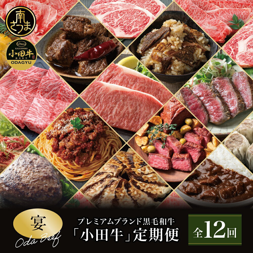 【ふるさと納税】【全12回】プレミアムブランド「小田牛」定期便［～宴～］ 鹿児島県産 黒毛和牛 ステーキ すき焼き 焼肉 焼き肉 BBQ ハンバーグ ローストビーフ 餃子 ぎょうざ 焼売 しゅうまい レトルト カレー パスタソース 常温 冷凍 小田畜産 南さつま市 送料無料
