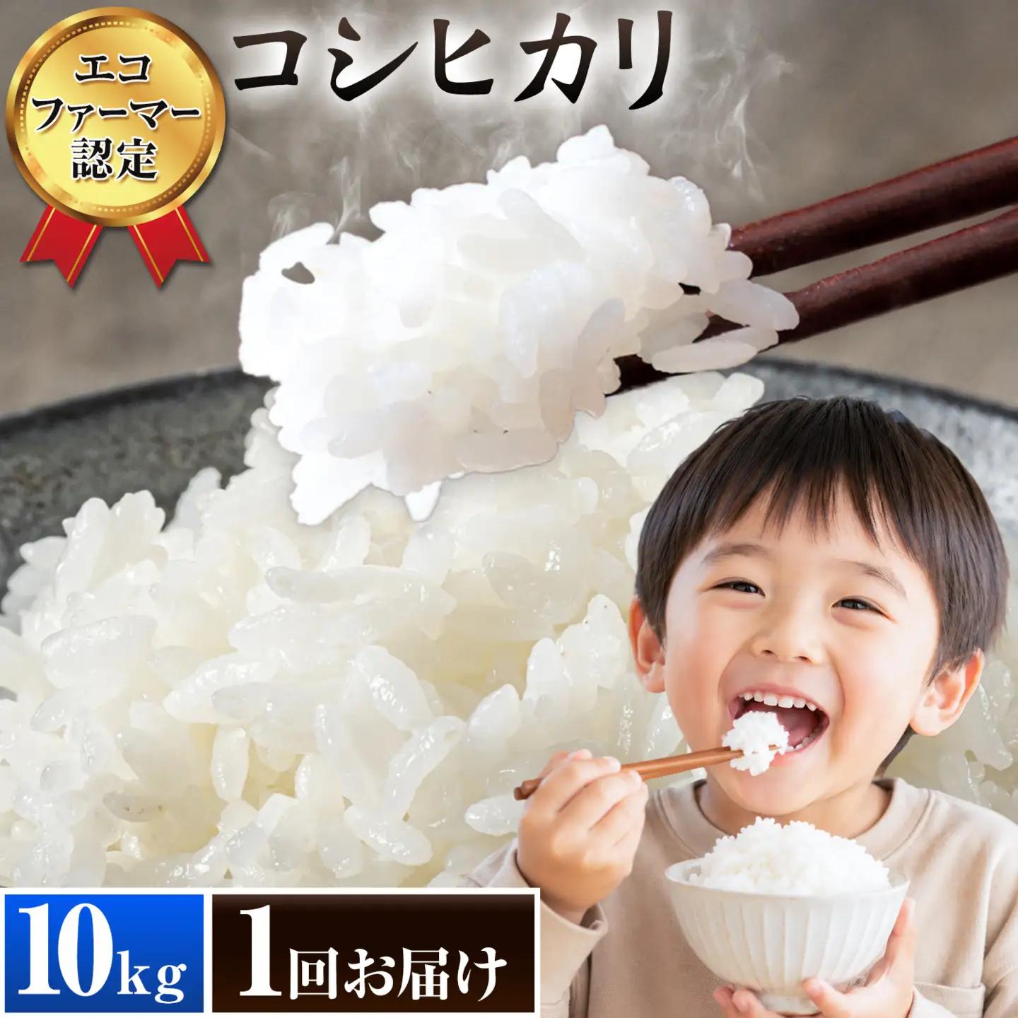 米 令和7年産 コシヒカリ 白米 10kg 新宿営農組合 米