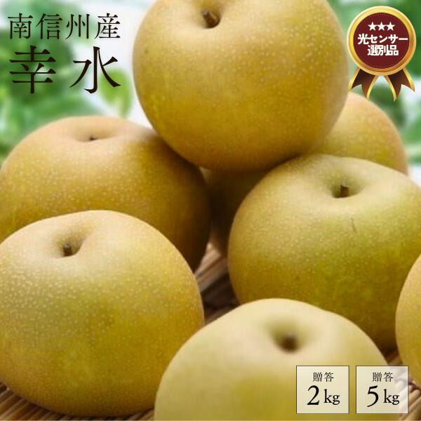 【ふるさと納税】梨 幸水 約2kg or 約5kg ／8月中旬～9月上旬頃発送予定 南信州産 長野県 梨 2キロ 5キロ 2kg 5kg JA05 JA28