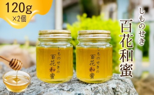 【しものせきの百花和蜜】 はちみつ ニホンミツバチはちみつ 240g 120g✕2個 ハチミツ 蜂蜜 国産 下関産 無添加 非加熱 はちみつ HONEY ハニー  健康 朝食 プレゼント (トースト ホットケーキ パンケーキ ミツバチ ヨーグルト) 養蜂 下関 山口 