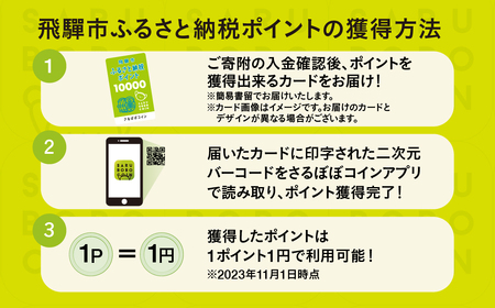 さるぼぼコイン　飛騨市ふるさと納税ポイント 6,000pt [Q2297]