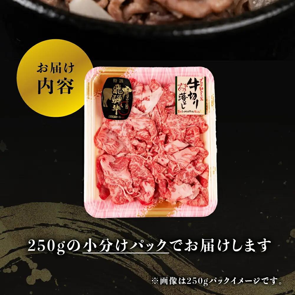 飛騨牛 牛肉 切り落とし 1kg 小分け（250g×4p）  [s933] 切り落とし