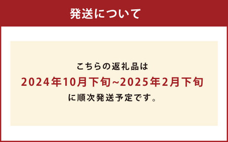 熊本市産 【手選別まごころ選果】 みかん 6kg サイズ2Ｌ～S  蜜柑 ミカン フルーツ 果物 くだもの 柑橘 熊本産 九州産【2024年10月下旬～2025年2月下旬発送予定】