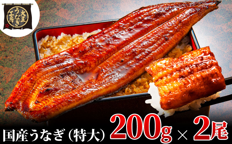 【期間限定9月30日までの特別価格！】うなぎ蒲焼 200g×2尾(400g) うなぎ ウナギ 鰻 蒲焼 蒲焼き冷凍 国産 大五 大五通商 静岡 島田市