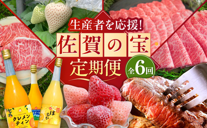 【全6回定期便】佐賀県の生産者を応援！いちご・みかんジュース・佐賀牛 佐賀の宝 定期便 / ストレートジュース 白い宝石 ステーキ すき焼き 焼肉 / 佐賀県ふるさと納税 [41AAZZ012]