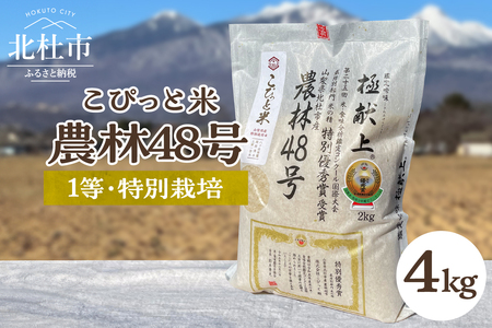 【令和7年度新米】【令和7年度米】こぴっと米【農林48号】4kg　1等特別栽培 100％ 米 精米 よんぱち 幻のお米 北杜市産 お米 