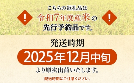 R7年産  特選米 ハツシモ 精米 10kg ×1袋 お米 米 白米 ごはん 新米 精白米 ご飯 はつしも 令和7年産 ブランド米 低農薬 お取り寄せ 産地直送 クリーンファームまき 送料無料 岐阜県