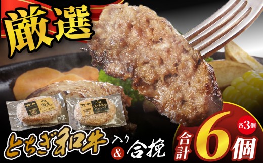 とちぎ和牛入りハンバーグ＆国産ハンバーグ (1個150g)×各3個 900g| 和牛 国産 ハンバーグ 2種 セット 栃木県 矢板市