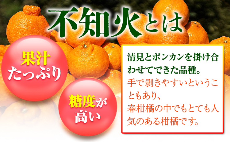 完熟 不知火 ( デコポン)と同品種 約10kg S～2L 家庭用 サイズ混合 横川果樹園 《3月中旬-4月末頃出荷》 和歌山県 日高川町 不知火 みかん 果物 柑橘 フルーツ 