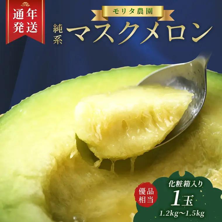 【通年栽培】純系マスクメロン１玉（化粧箱入）【７月発送分】