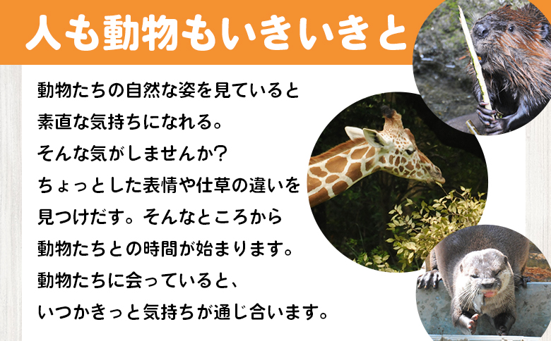 高知県立のいち動物公園 動物支援(飼料費支援) 返礼品なし 50,000円 ni-0009