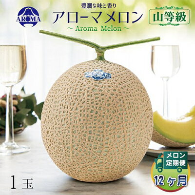 【ふるさと納税】【毎月定期便】アローマメロン(山等級) 1玉 全12回【配送不可地域：離島・北海道・沖縄県】【4013000】