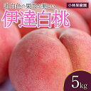 【ふるさと納税】2025年出荷分 先行予約福島県産 伊達白桃 5kg 2025年9月上旬〜2025年9月中旬発送 先行予約 予約 白桃 大玉 伊達の桃 桃 もも モモ 果物 くだもの フルーツ 国産 食品 F20C-593