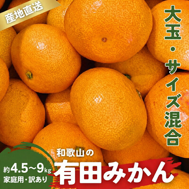 【ふるさと納税】 家庭用 有田みかん 和歌山 訳あり わけあり 大玉(2L,3Lサイズ混合) 約 4.5kg 約 9kg 選べる容量【11月上旬～1月下旬頃に順次発送】/ みかん フルーツ 果物 くだもの 有田みかん 蜜柑 柑橘