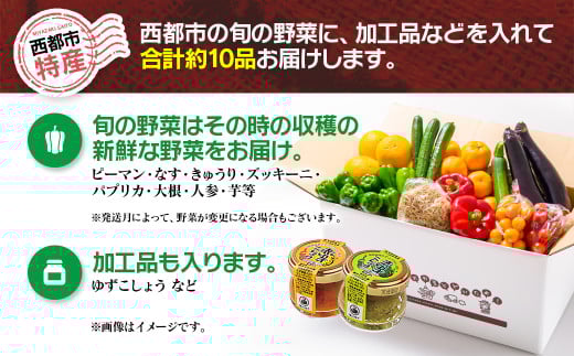 【3回定期便】西都市旬の特産詰め合わせセット 1月発送開始 マンゴー・野菜・スイートコーンなど＜4-4＞定期便 野菜 果物 フルーツ 3回定期便 宮崎県西都市