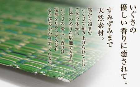 純国産天然いぐさ　「掛川　虹」２畳（緑色）　BG007