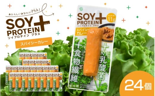 【選べるフレーバー】SOY PROTEIN＋ ソイプロテインプラス バータイプ 24個 / スパイシーカレー [C-16903a] / 健康志向 トレーニー ベジタリアン ヴィーガン 補給食品 ダイエット タンパク質 福井県鯖江市