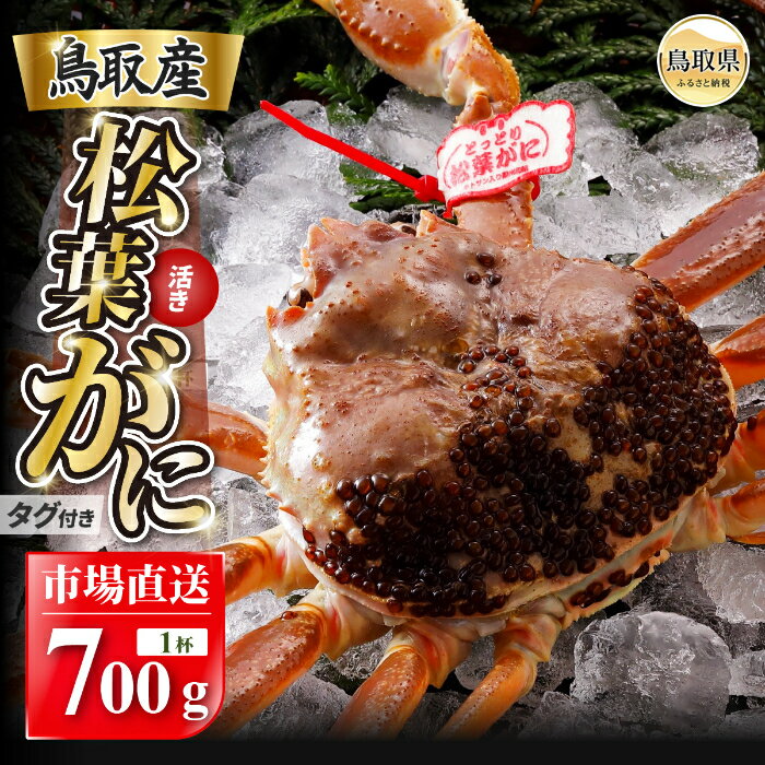 【ふるさと納税】D25-020 【2025年11月発送】特撰 松葉がに（なま）【ブランドタグ付き】700g超の大きいサイズ 食べ応えあり 特大1杯