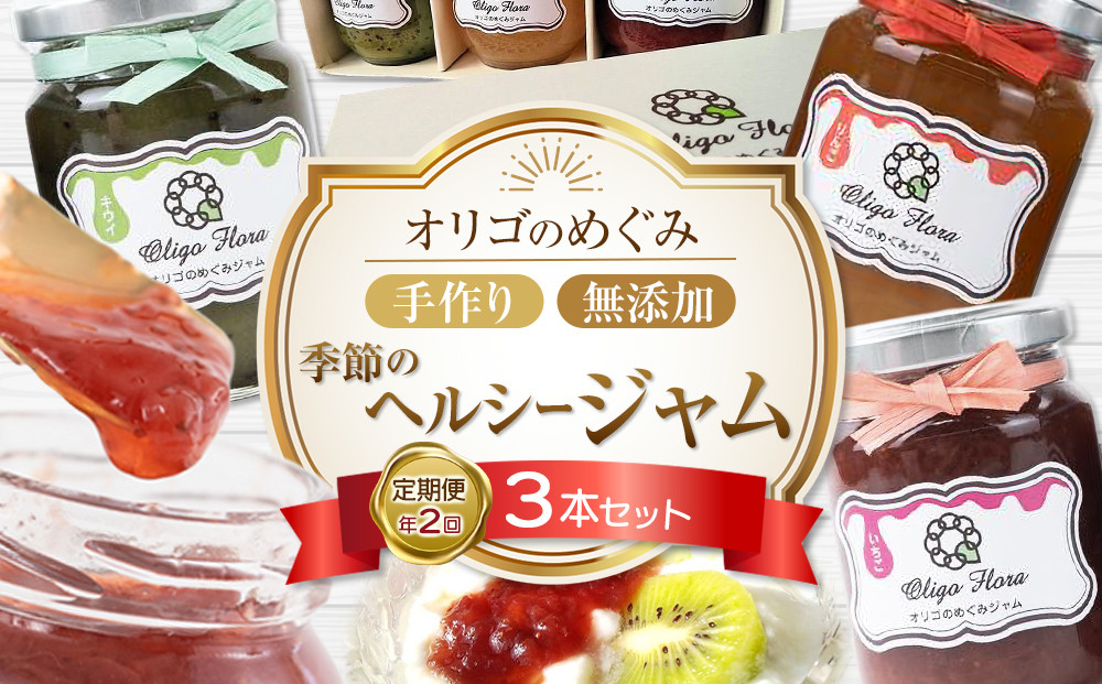 ＜年2回 定期便＞季節のヘルシージャム3本セット 【おまかせ3本セット・150ｇｘ3本（合計450ｇ）】× 2回
