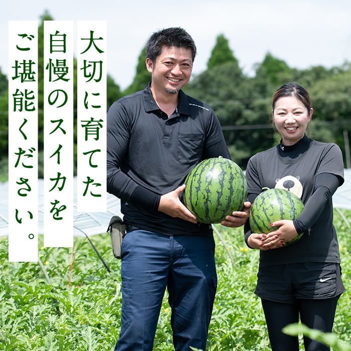 ＜選べる内容量！＞＜2025年7月中旬以降発送予定＞《期間限定》やごろうスイカ1個(L玉・1個6kg以上) 【曽於市観光協会】A484 【L玉（6kg以上）×2個】