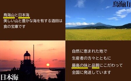 SB0901　酒田の果物専門店厳選　庄内砂丘 アンデスメロン　約5kg(4～5玉入)