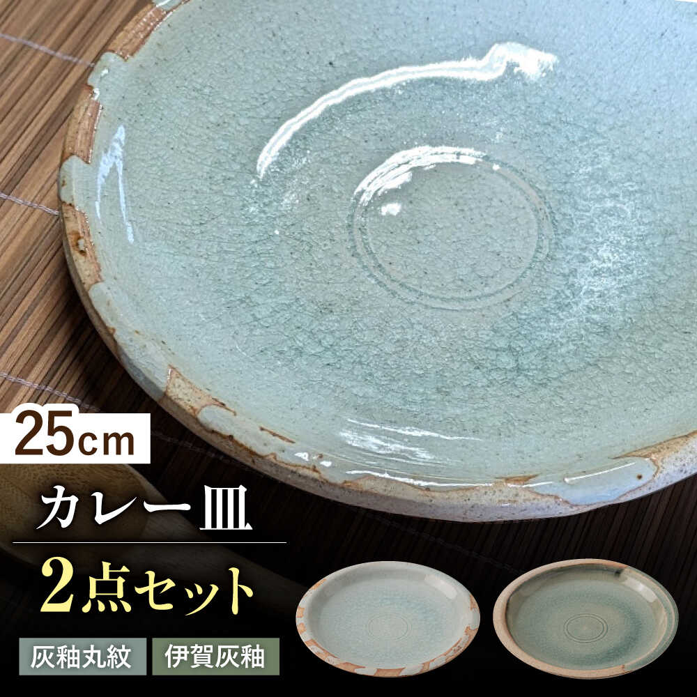 【ふるさと納税】【瀬戸焼】　灰釉25cm カレー皿 ペア (灰釉丸紋・伊賀灰釉)【山長陶苑】 / 焼き物 カレー パスタ 平皿 皿[BBBH015]