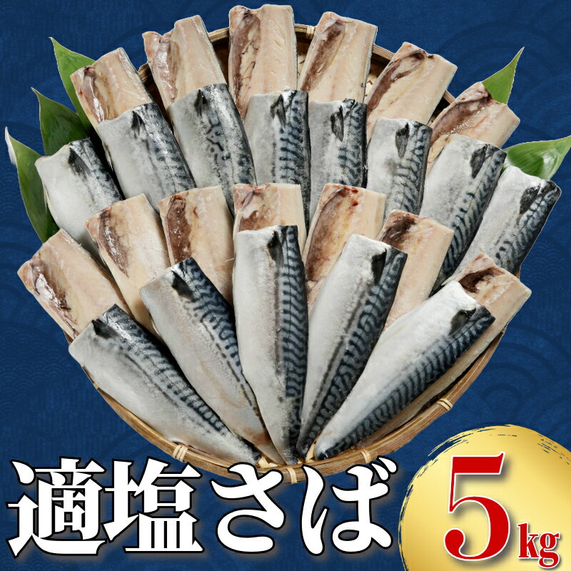 【ふるさと納税】 適塩さば 約5kg さば 鯖 サバ 適塩 さば 無塩サバ 適塩鯖 サバフィーレ 鯖フィーレ さばフィレ サバフィレ 鯖フィレ 切り身 切身 お弁当 惣菜 おかず 塩焼き 味噌煮 冷凍 保存食 お取り寄せ グルメ 大容量 ギフト 贈物 海鮮 千葉県 銚子市 エドノフーズ