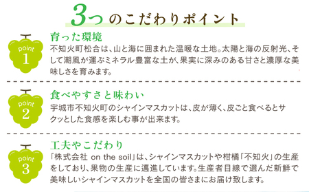 【先行予約】 シャインマスカット 2房 約1kg  うきうきシャインマスカット 【2026年7月下旬-2026年9月下旬頃 順次発送予定】