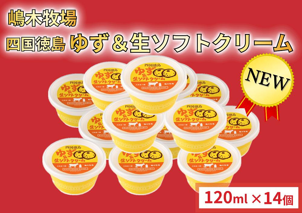 
            徳島ゆず＆生ソフトクリーム 14個×120ml アイスクリーム チョイス限定 アイス スイーツ 池田町 ジェラート ギフト ソフトクリーム  国産 詰め合わせ アイスセット 嶋木牧場 先行予約
          