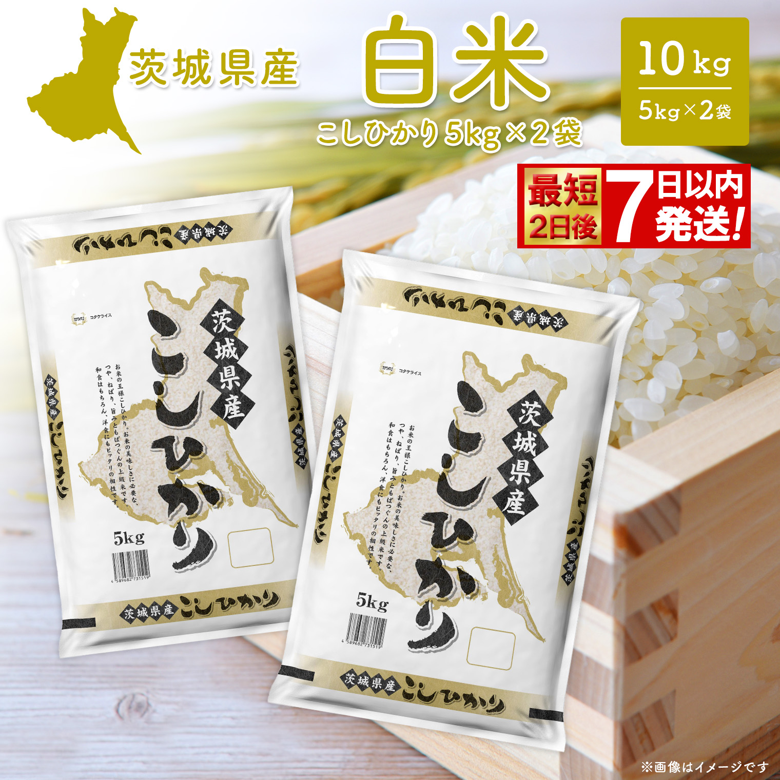 ◎最短2日後発送◎ コシヒカリ 10kg (5kg×2袋) 茨城県産 米 小分け 2025年産 スピード便 コシヒカリ 【令和7年産/白米】 K2654