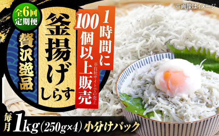 【全6回定期便】鮮度抜群＆水分率80％!ふわふわ釜揚げしらす 1kg 冷凍 シラス 鮮魚 ギフト 海鮮丼 広島県 江田島/三島水産株式会社 [XCN009] 定期便