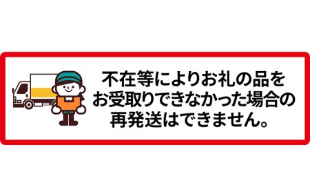 【先行受付/2024年11月出荷開始】仁木町の採れたてりんご「ふじ」4.5kg［妹尾観光農園］ 北海道 果物 フルーツ リンゴ