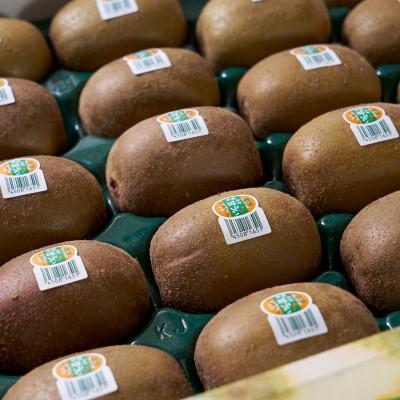 ふるさと納税 久留米市 【2025年10月中旬より順次発送】福岡限定!キウイ「甘うぃ(あまうぃ)」約3kg箱(久留米市) |  | 02
