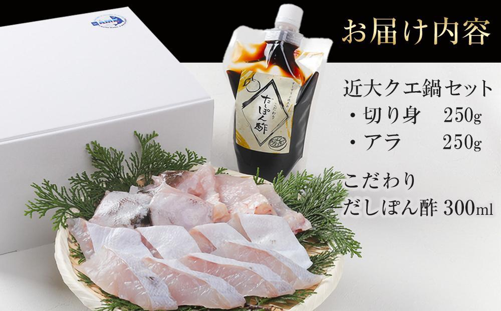近大クエ鍋セット ( 500g ）こだわりだしぽん酢付き【2026年1月下旬～2月上旬発送】