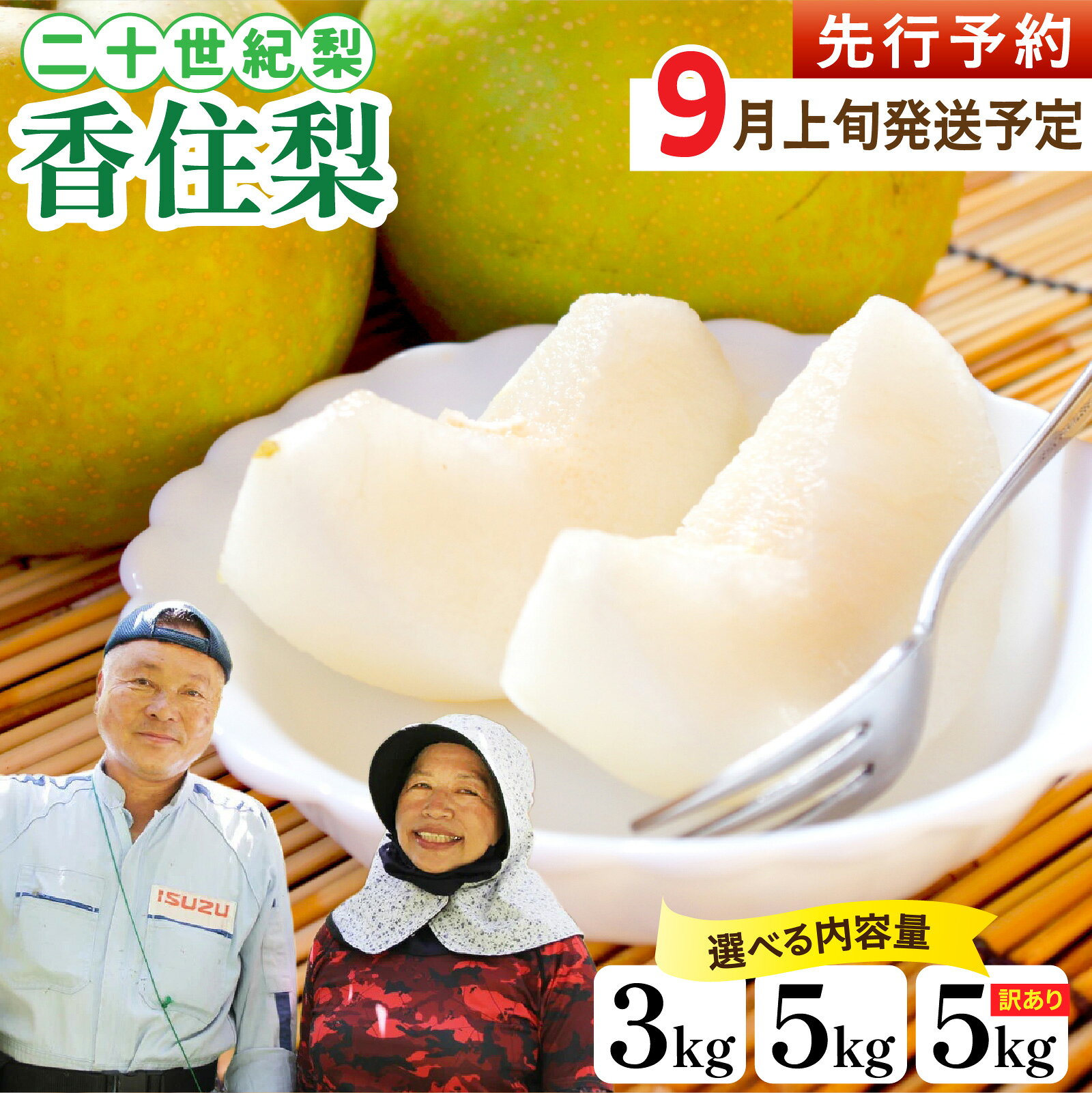 【ふるさと納税】【先行予約】【 数量限定 】 兵庫県産 香住梨 二十世紀 【選べる】3kg / 5kg / 訳あり5kg ※2026年9月上旬頃より順次発送予定 / 梨 なし ナシ 二十世紀梨 フルーツ 果物 訳アリ 産地直送 みずみずしい 送料無料 期間限定 数量限定 香美町