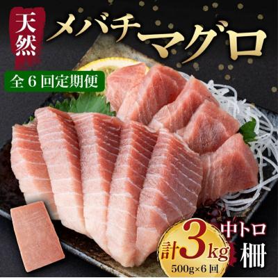 ふるさと納税 室戸市 【 6回定期便 】 天然メバチマグロ 【 中トロ 】500g(柵)