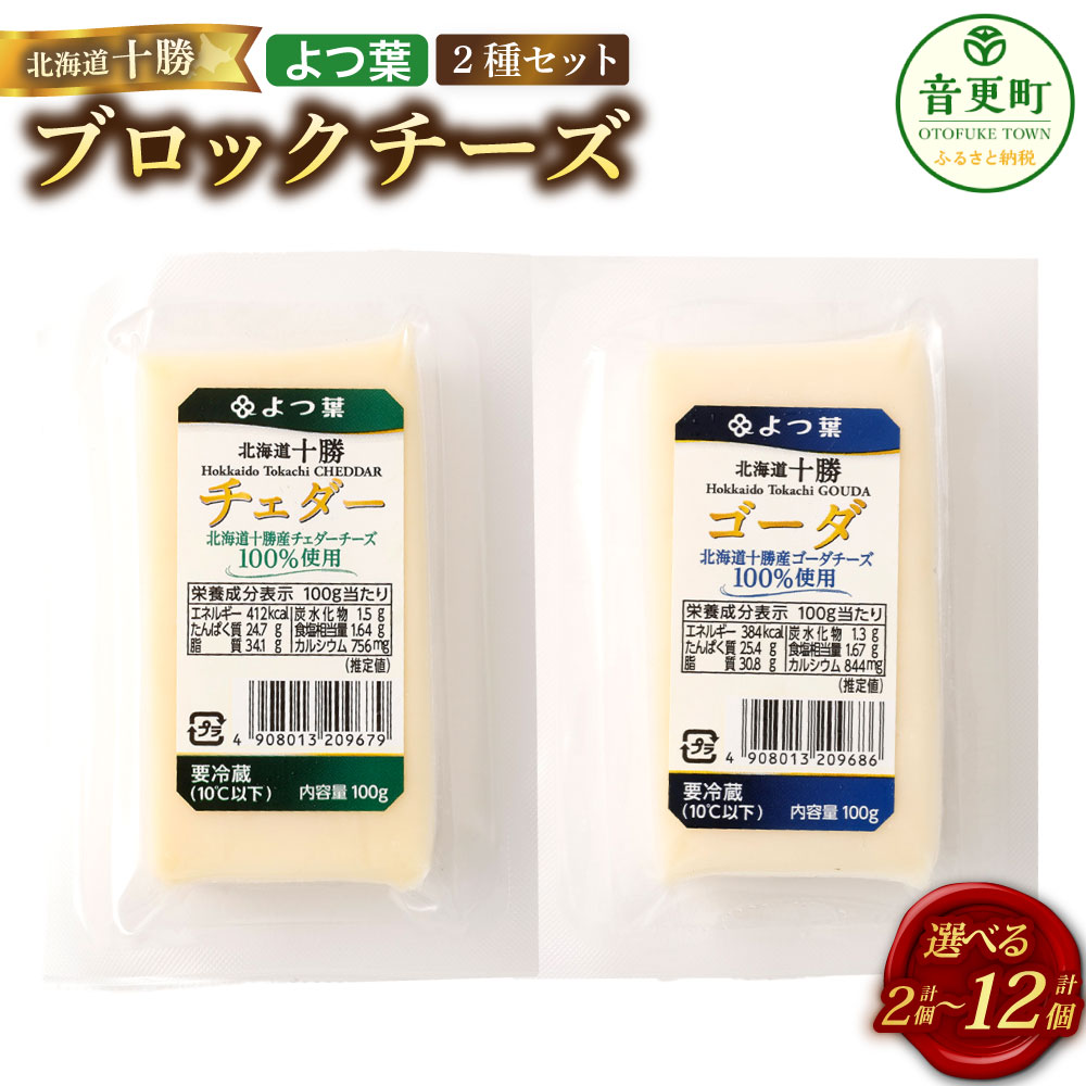 【ふるさと納税】＜選べる内容量＞「よつ葉」 北海道十勝 ブロックチーズ 2種セット チェダー ゴーダ 2個 4個 8個 12個 1個あたり100g 各1～6個 チェダーチーズ ゴーダチーズ セミハードタイプ ナチュラルチーズ 生乳 乳製品 料理 冷蔵 国産