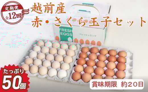 
            【定期便12回】越前産赤玉子・さくら玉子セット50個入り（45個+割れ補償5個入り）【冷蔵・卵】（お届け日指定可）
          