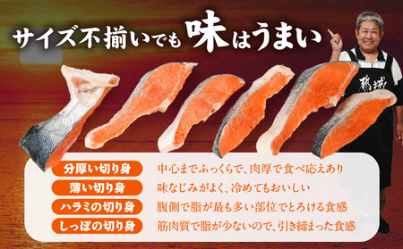 銀鮭2kg(500g×4P)_17-8408_(都城市) トレーパック 1Pあたり4～6切れ カット済 調味加工 切身 鮭 さけ 朝食 お弁当 おかず