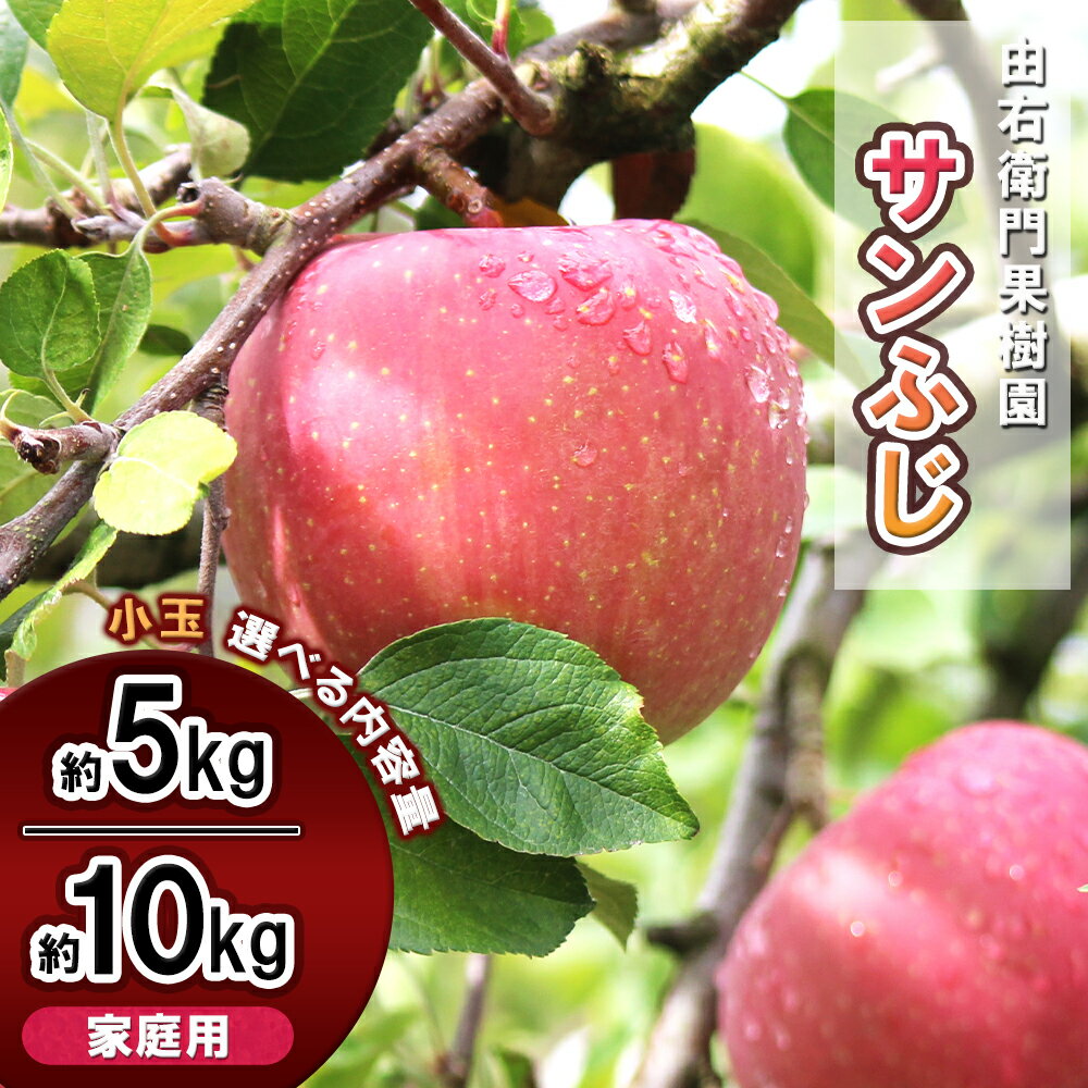 【ふるさと納税】 由右衛門果樹園 りんご 家庭用 「 サンふじ 」小玉 約 5kg / 約 10kg りんご リンゴ 訳あり 完熟 旬 県産りんご お中元 お歳暮 グルメ ギフト 故郷 秋田 あきた 鹿角市 鹿角 送料無料 【由右衛門果樹園】