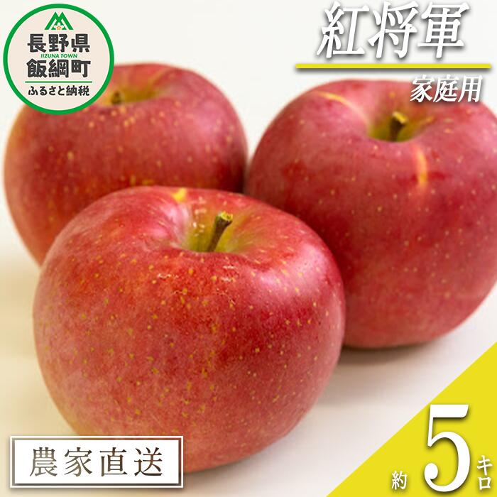 【ふるさと納税】 りんご 紅将軍 家庭用 5kg 永野農園 沖縄県への配送不可 令和7年度収穫分 長野県 飯綱町 〔 信州 果物 フルーツ リンゴ 林檎 長野 予約 農家直送 16000円 〕発送時期：2025年9月下旬〜2025年10月上旬