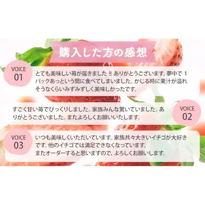 うるう農園のあまおう スタンダード 4パック 約1kg（約250g×4）